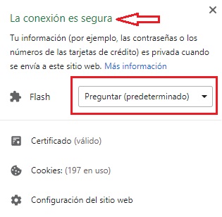 Cómo activar Adobe Flash