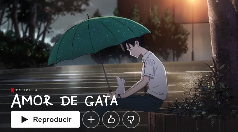 Amor de gata en Netflix