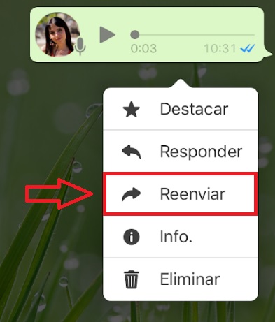 WhatsApp: Dónde se guardan los archivos de audio