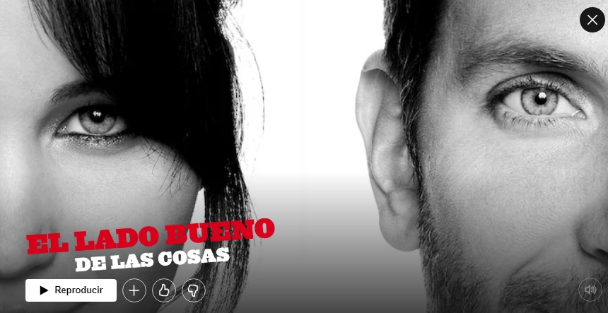 El Lado Bueno de las Cosas en Netflix