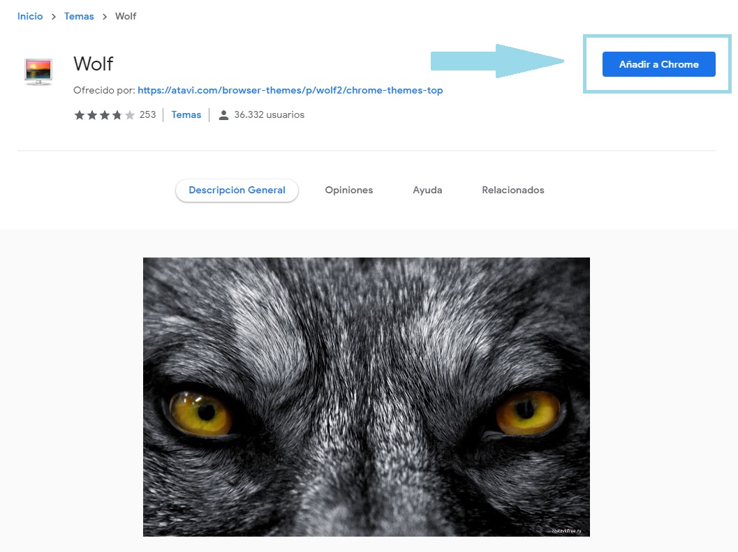 Cómo cambiar y descargar temas para Google Chrome