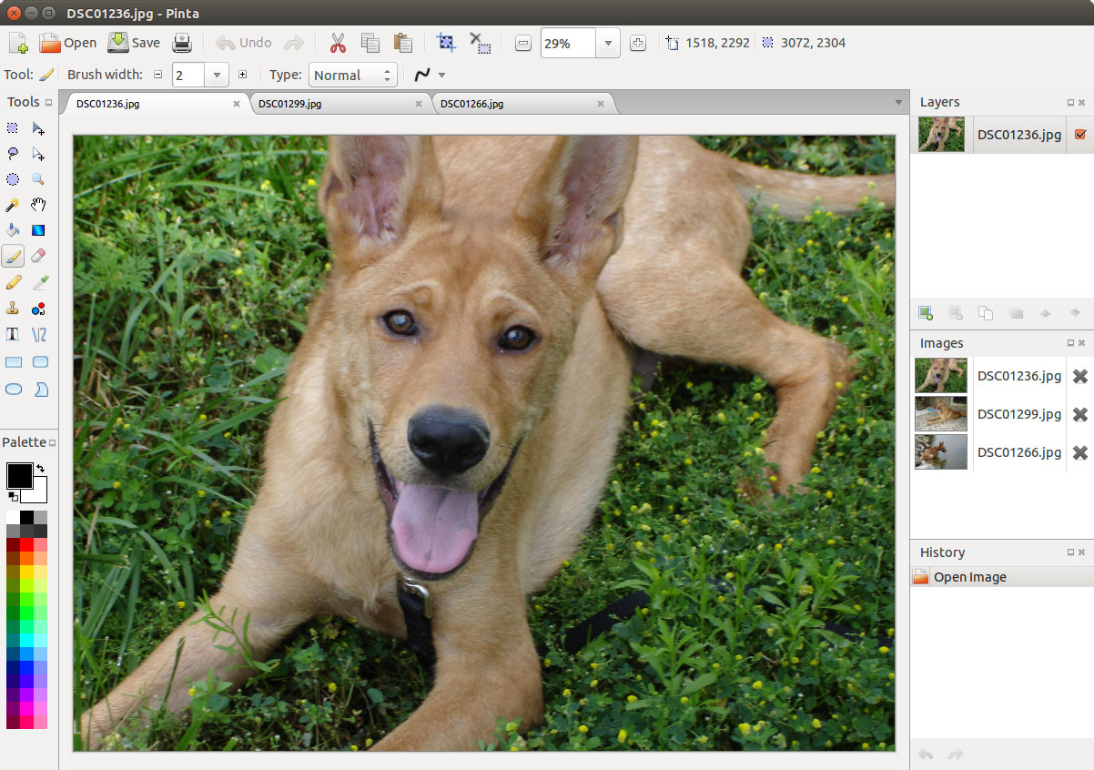 Alternativas gratis a Microsoft Paint para Mac