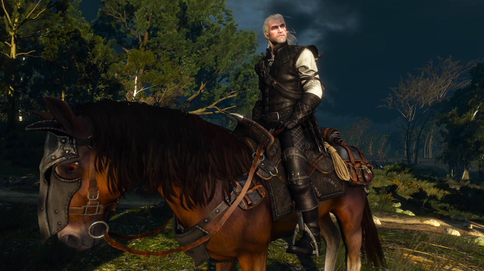 Los mejores mods para The Witcher 3