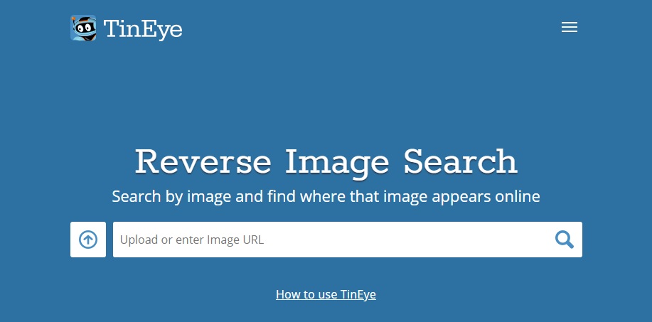 Cómo saber si hay fotos tuyas en Internet
