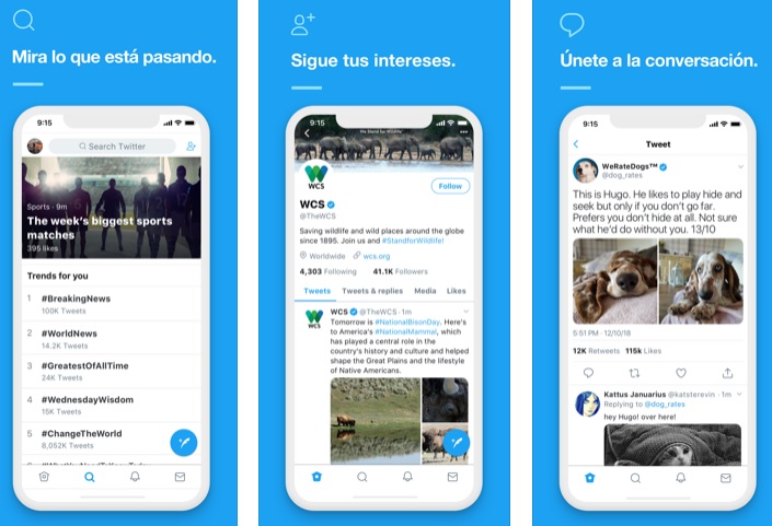 Interfaz de Twitter para iOS