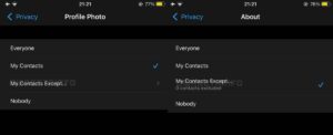 privacidad whatsapp visualizacion estado contacto