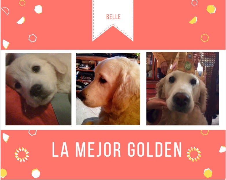 Collage con canvas