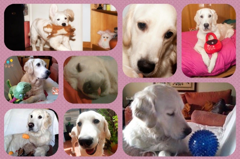 Collage hecho con PhotoPad
