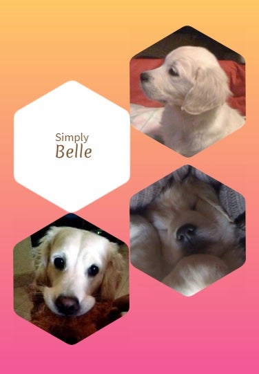 Collage hecho con photojet
