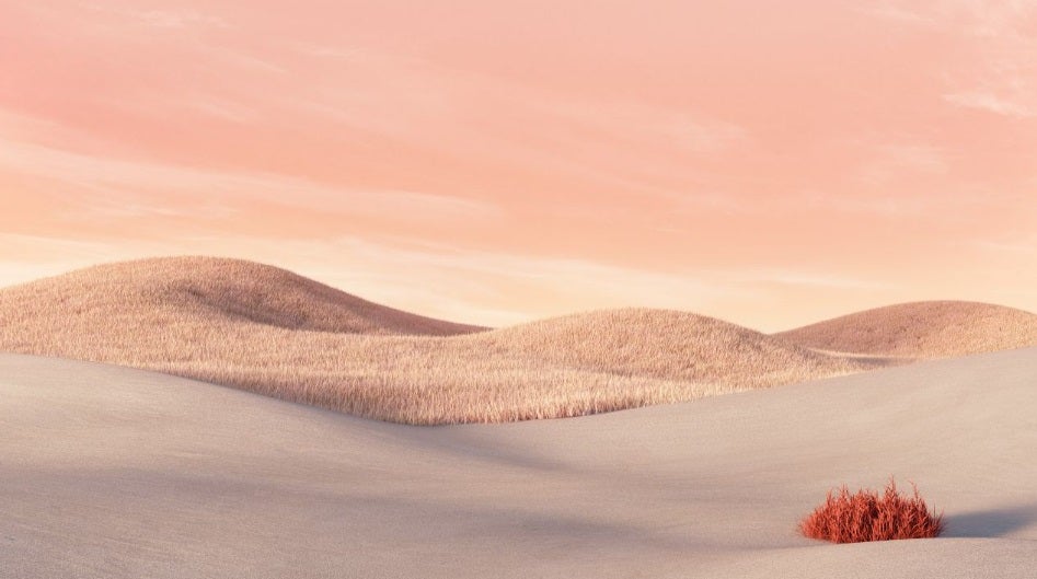 La imagen tiene un atributo ALT vacío; su nombre de archivo es fondo-aesthetic-desierto-rosa.jpg