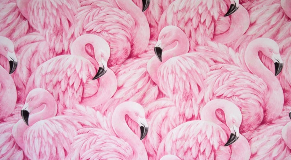 La imagen tiene un atributo ALT vacío; su nombre de archivo es fondo-pantalla-flamencos.jpg