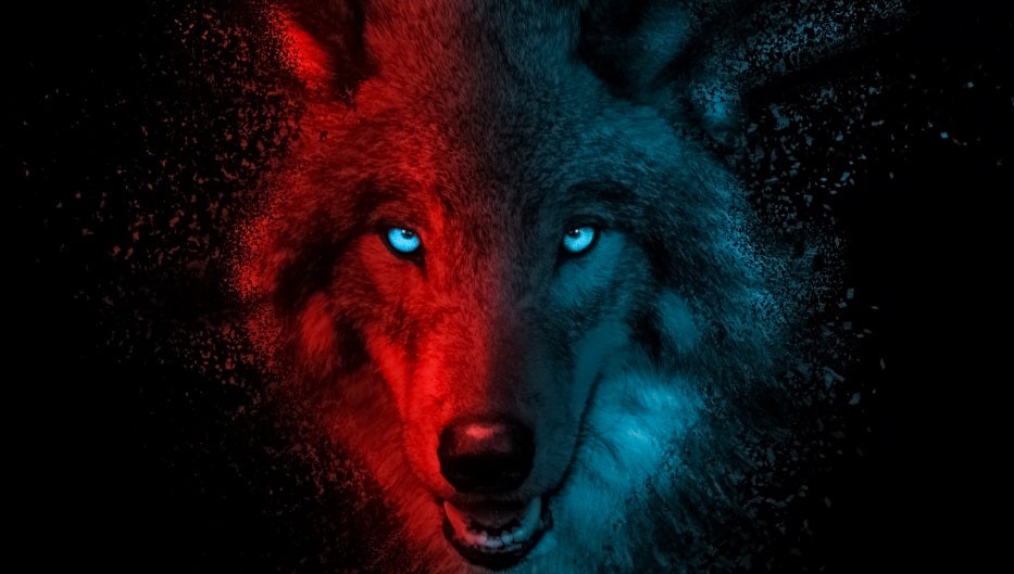 La imagen tiene un atributo ALT vacío; su nombre de archivo es fondo-pantalla-lobo.jpg