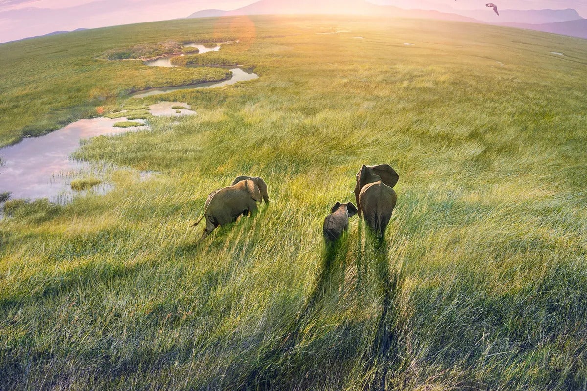 BBC y Movistar Plus estrechan su relación aumentando su oferta de contenidos