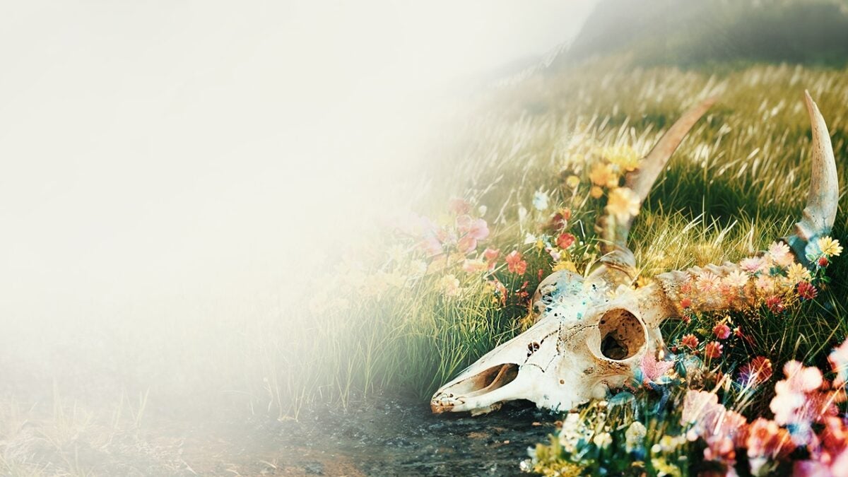 Todos los anuncios del Nacon Connect 2025