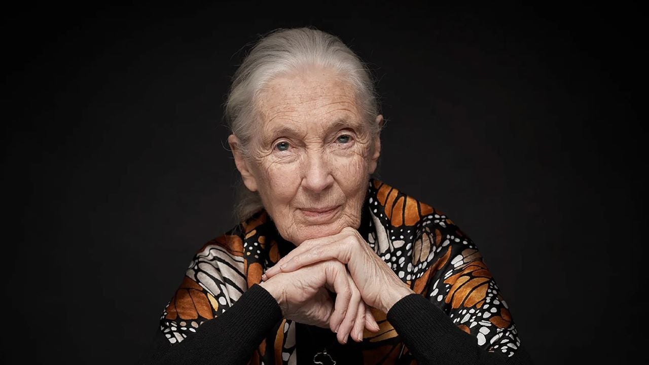 Netflix rendirá homenaje a Jane Goodall en su docuserie Famous Last Words