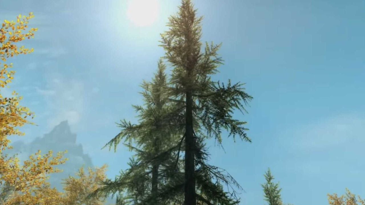 El youtuber que ha hecho un concurso y ha contado los árboles totales de Skyrim