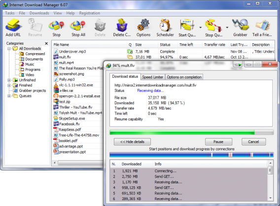 Internet Download Manager interface