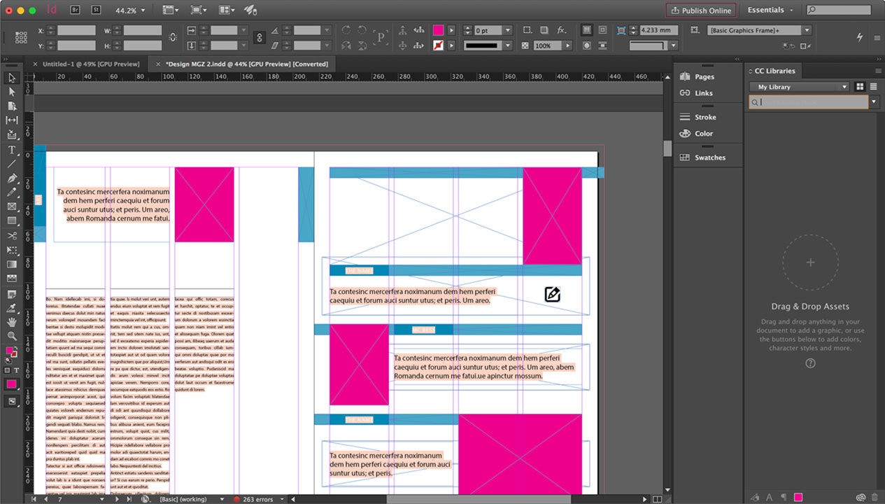 Adobe InDesign Screenshot