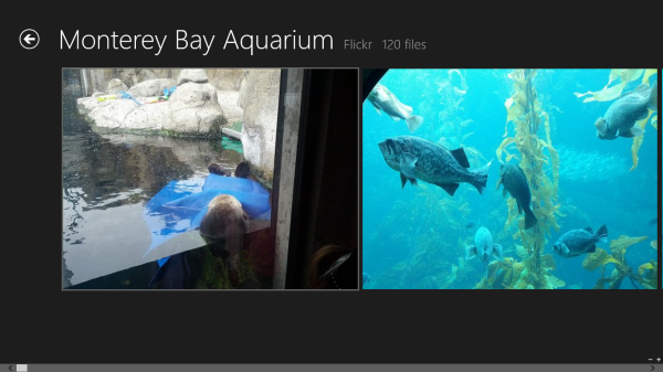Windows 8 Flickr