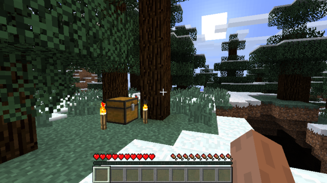 Minecraft Bonus Chest