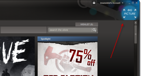 steam big picture