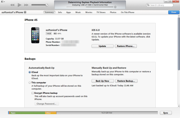 itunes 11 device view