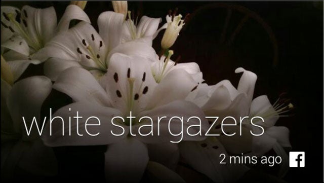facebook for google glass
