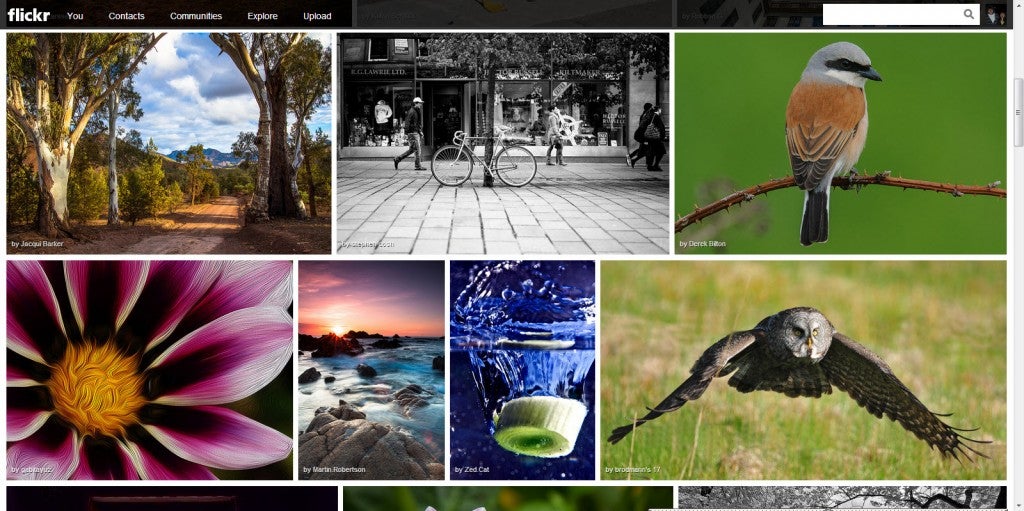 flickr redesign