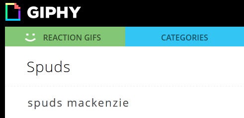giphy search