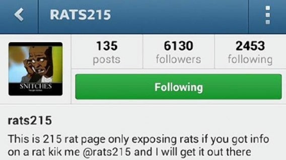 rats215