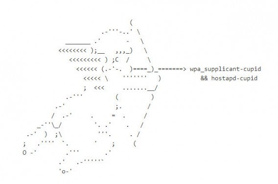 Cupid Heartbleed
