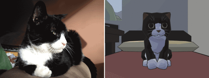 Catlateral Damage Nippy