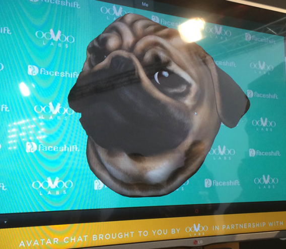Face tracking pug