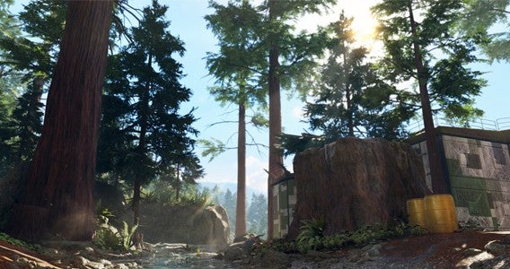 trees