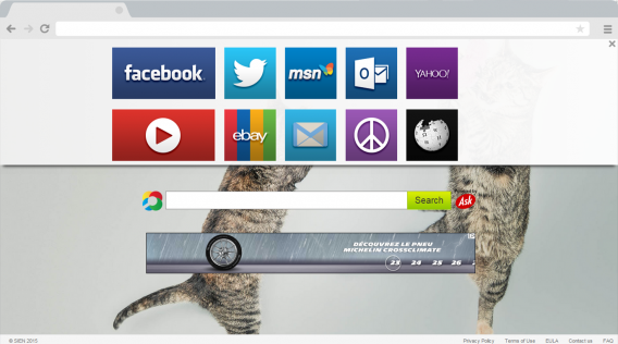 Safe browsing, now with kittens