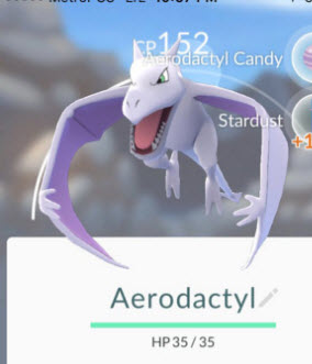aerodactyl