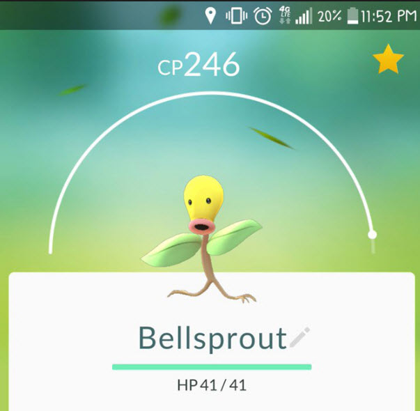 bellsproutpokemongo