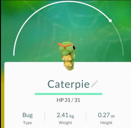 caterpiepokemongo