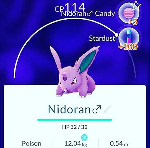 nidoranmpokemongo