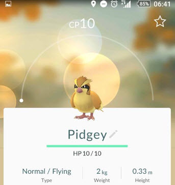 pidgeypokemongo