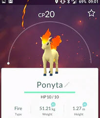 ponytapokemongo