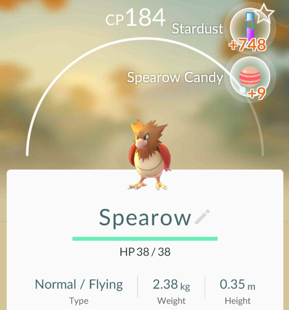 spearowpokemongo