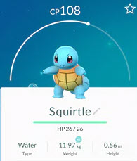squirtlepokemongo