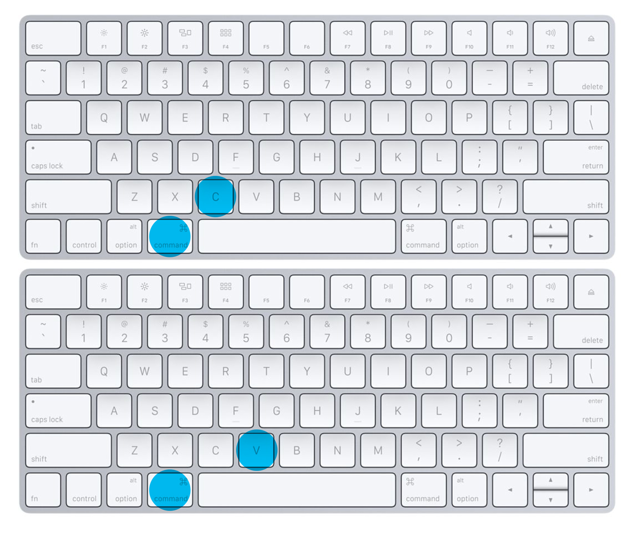 Command + C and Command + V Apple Mac Keyboard Shortcuts
