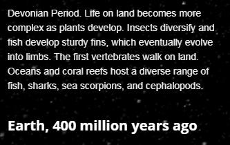 What did the earth look like info
