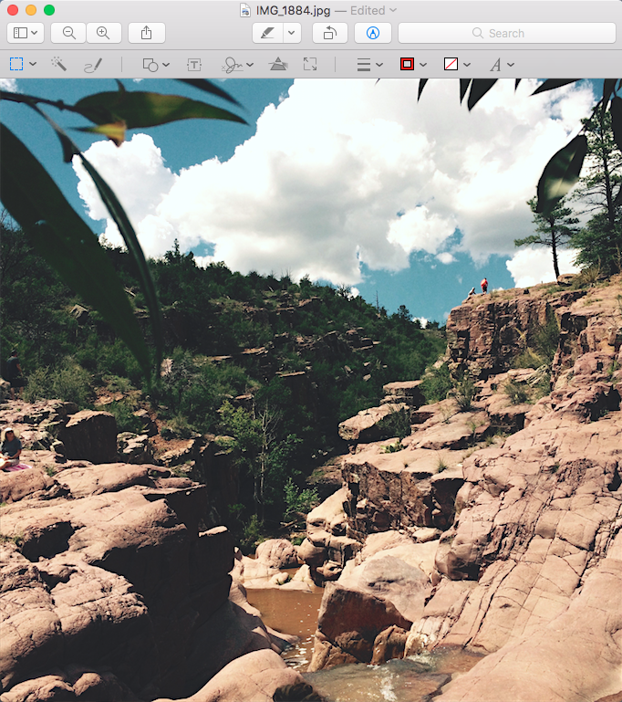 Apple preview