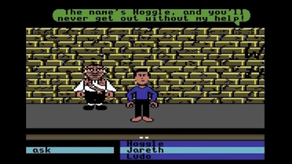 Labyrinth video game