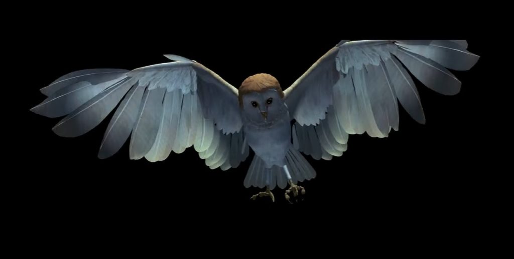labyrinth owl