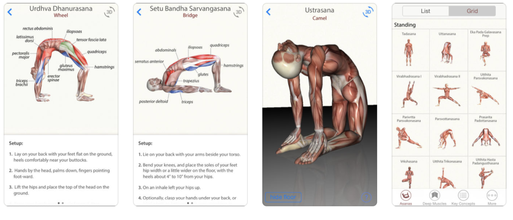3D Yoga App