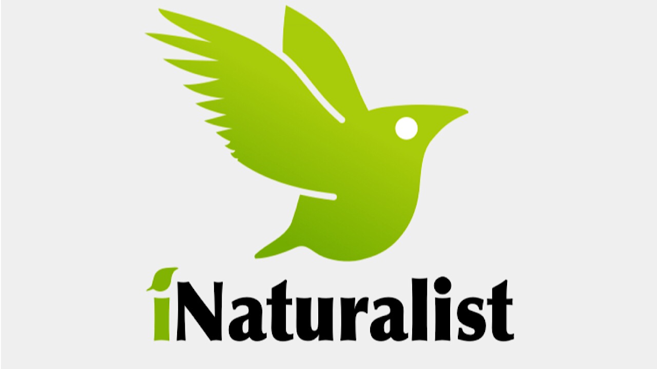 inaturalist logo